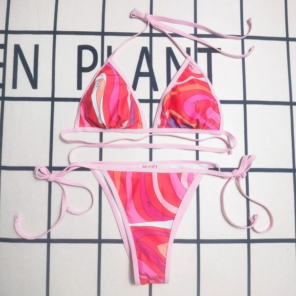 New Foreign Trade Bikini, Sexy European And American Fashion Printed Two-piece Beach Swimsuit With Chest Pads_ecoleips.com