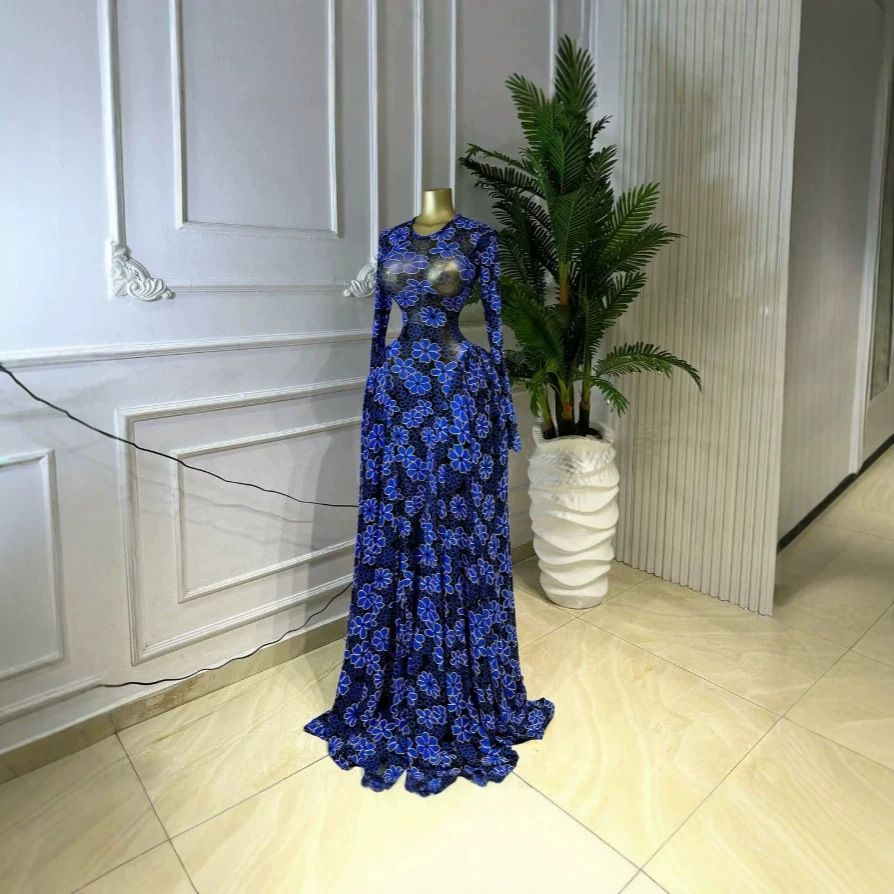 European And American Fashionable Long Dress for Women round Neck Long Sleeve Printed Mesh Sheer 2026 Cross Border INS Temperament_ecoleips.com