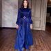 Women's Clothing Summer New Round Neck Organza Lantern Sleeves Long Sleeves Slim Belt Retro Dress_ecoleips.com
