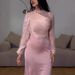 Women's Clothing Sexy Hip Wrapped Mesh Pleated Evening Dress_ecoleips.com