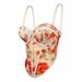 Women's Clothing Gold Stamped Printed Tube Top Camouflage High End Outer Wear Suspenders Autumn And Winter Sexy Inner Wear Fishbone Bra_ecoleips.com