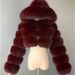 Women's Clothing Fur Coat Women Colorful Short Coat Hooded Warm Top Large Size_ecoleips.com