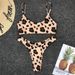 Women's Sexy Leopard Print Two Piece Swimsuit Push Up Bikini Set European American Style Summer Swimwear_ecoleips.com