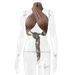2024 European And American Summer New Sexy Backless Camisole Cross-Border Top Tie Slim Women's Clothing_ecoleips.com