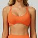 Women's Clothing Color Block Edge Seamless Sports Bra Open Back Running Yoga Top Women's Fitness Clothing 9245_ecoleips.com