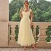 "Elegant Tulle Layered Dress – Romantic A-Line Midi Dress With Sheer Detail_ecoleips.com