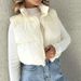 AC502 Women's Vest, New Autumn/Winter European And American Style, Stand Collar, Thickened Sleeveless Cotton Vest Jacket_ecoleips.com