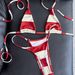 Women's Wide Striped Print Two Piece Swimsuit Set Tie Up Bra Top And Swim Trunks_ecoleips.com