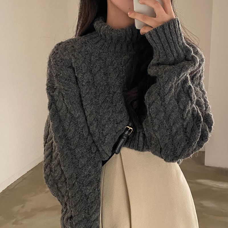 girl Real Price Korean Chic High Neck Thickened Warm Pullover Sweater Vintage Cable Knit Long Sleeve Knitwear For Women_ecoleips.com
