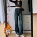Fleece-Lined Jeans For Women, Autumn And Winter New High-Waisted Loose Straight-Leg Pocket Design Draped Wide-Leg_ecoleips.com