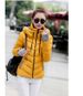 Women’s Clothing Down cotton coat for women cotton coat for women short stand collar new thickened cotton coat gloves style cotton jacket jacket_ecoleips.com
