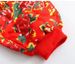 girl TAOP&ZA Spring New Women's Loose Round Neck Long Sleeve Northeast Jacket Coat Floral Middle Eastern Color Cotton_ecoleips.com