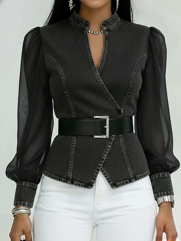 Women's V Neck Lace Long Sleeve Top Casual Elegant Fashion Tees For Spring/Summer/Autumn Independent Website AliExpress_ecoleips.com