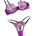 Aria Basics Popular European American Lingerie Set For Women, Sexy Underwear With Embroidered Lace In Purple-red, Alluring And_ecoleips.com