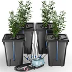Indoor Gardening & Hydroponics_ecoleips