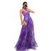 2025 Cross-Border European And American Spring Summer New Mesh Printed Strap INS Vacation Casual Party Dress_ecoleips.com