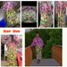 Women's Clothing Printed Gradient Dress Ruffle V Neck Sexy Slim Dress_ecoleips.com