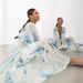 Women's Printed Chiffon V Neck Perspective Pleated Waist Drawstring Long Sleeve Dress_ecoleips.com