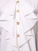 Women's Clothing Women's Style Casual Loose Fitting Long Sleeved Shirt Top Elegant Autumn Design For LadiesLong Sleeve For Formal & Casual_ecoleips.com