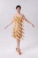 K New Adult Latin Dance Sequin Fringe Skirt Dance Dress Party Dress Stage Performance Dress Competition Dress_ecoleips.com