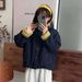 girl Cotton Autumn Winter Versatile Padded Short Coat Color Block Hooded Ins Casual Korean Style Jacket_ecoleips.com