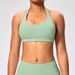 Women's Clothing Halter Neck Beautiful Back Sports Bra High Elastic Matte Nylon Large Backless Yoga Top Bra For Women_ecoleips.com