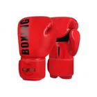 Boxing Gloves_ecoleips