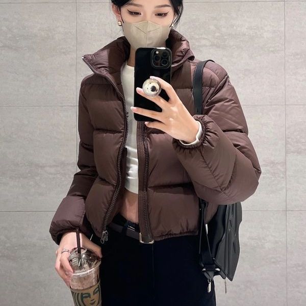 Off-Season European Kendall Jenner Style Short High-Waisted Thickened Down For Women 2025 New Small Size Puffer Jacket_ecoleips.com