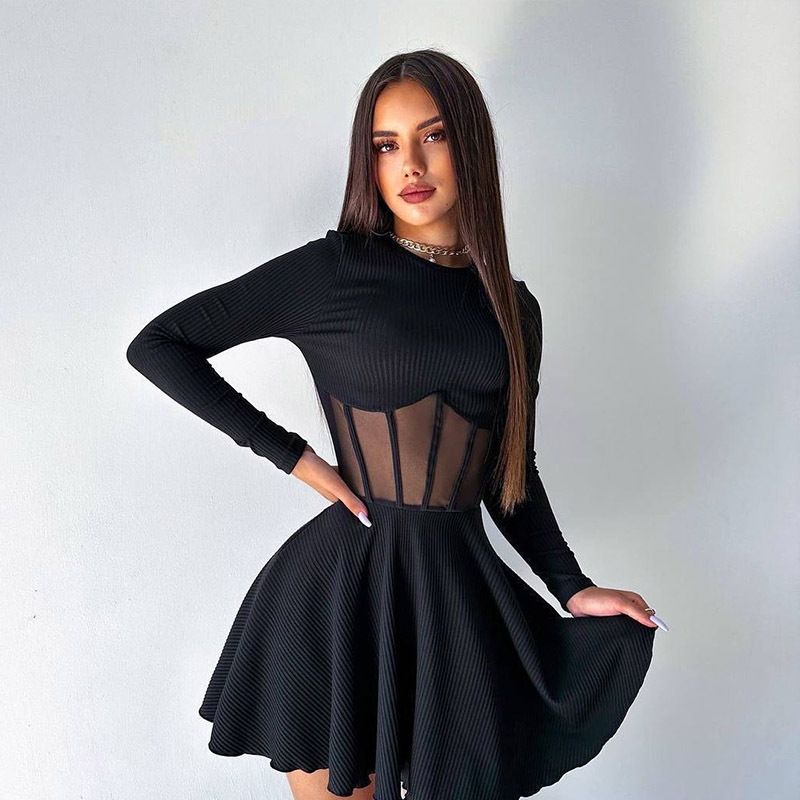 Women's High Neck Long Sleeve Short Dress Fashion Mesh Patchwork See Through Fishbone Waist Cinching_ecoleips.com