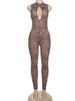 Weird Puss Hollow Jumpsuit Women See Through Sexy Leopard Print Sleeveless Hipster Fit Street Midnight Party Workout Overalls_ecoleips.com