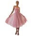 Women's Sleeveless Mesh Herringbone Tube Top Dress A-Line Skirt Waist Spring Birthday Party Fashion_ecoleips.com
