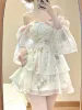 French Elegant Floral Mini Dress Chiffon Long Sleeve Evening Party Dress Women Holiday Beach Boho Fairy Dress Korean 2024 Robes_ecoleips.com