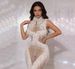 Fitted Long Dress Rhinestone Embellishments Sheer Mesh Fashion Show Singer Cocktail Party Evening Gown Women's Special Occasion Dress_ecoleips.com