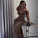 Women's Clothing Autumn And Winter Sexy Chiffon Watermark Leopard Dance Dress_ecoleips.com