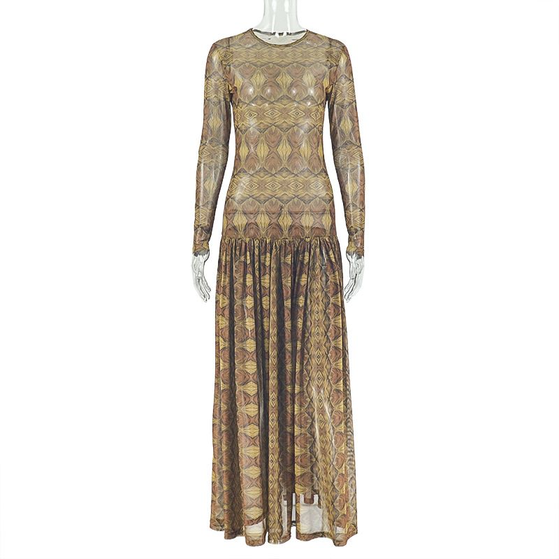 Retro Slimming Women's Dress Elegant Slightly Sheer a Line Print round Neck Long Sleeves_ecoleips.com