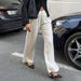 Women's High-Waisted Double Pleated Textured Wide Leg Pants Casual Vacation Style Spring/Summer Clothing_ecoleips.com