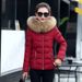 Women's Clothing New Down Cotton Jacket Women's Short Autumn And Winter Women's Cotton Coat Large Fur Collar Cotton Jacket_ecoleips.com
