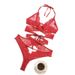 Aria Basics Cross-border Foreign Trade See-through Lace Cross-back Sexy Lingerie European And American Bodysuit Set Wholesale_ecoleips.com