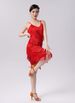 K New Adult Latin Dance Sequin Fringe Skirt Dance Dress Party Dress Stage Performance Dress Competition Dress_ecoleips.com