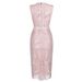 European And American Foreign Trade New Wedding Sexy Lace Slim-fit Bodycon Evening Dress_ecoleips.com