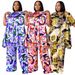 Spring Summer Women's Color Printed Shirt Casual Comfortable Two Piece Set Short Sleeve Collar in Stock Wholesale N7986_ecoleips.com