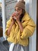 girl 2025 Autumn Winter New Korean Age-Reducing Bright Color Eye-Catching Stand Collar Long Sleeve Cotton Jacket For Women,_ecoleips.com