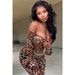 Women's Clothing Fashion Sexy Mesh Leopard Print Jumpsuit Women's Two Piece Set_ecoleips.com