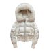 trendy lightweight hooded jacket wi olor block design slim fit zippered casual outerwear for winter_ecoleips.com