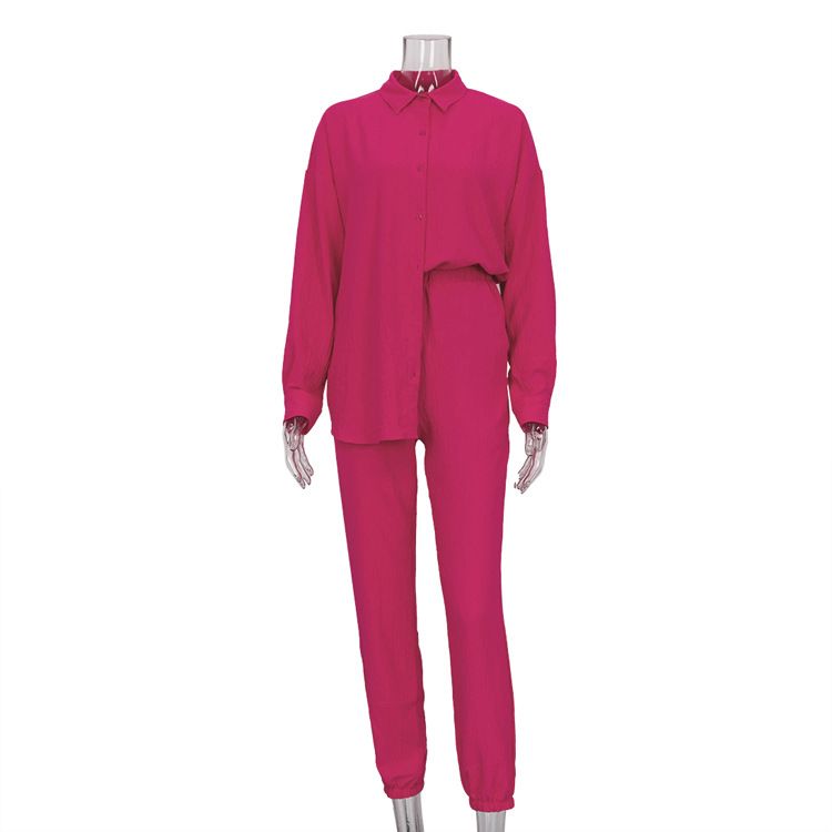 Women's Clothing new casual suit solid color lapel long-sleeved shirt top harem pants two-piece suit_ecoleips.com