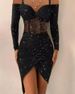 Bodycon Sexy Sheer Off-Shoulder Shiny Dress For Women_ecoleips.com