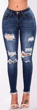 Women's Clothing Stretch Ripped Slim Fit Pants_ecoleips.com