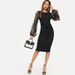 Elegant Women Dress Lace Flower Applique Contrast Mesh Sleeve Matching Form Belted Solid Mini Dress Streetwear Party Dresses_ecoleips.com