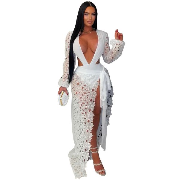 Women's Sexy Lace Mesh Dress Deep V-Neck High Slit Elegant Alluring Party Wear_ecoleips.com