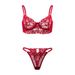 Aria Basics European American Women's Lingerie Set, Lace Embroidered High-end Underwire Bra And Triangle Panties, Sexy See-through_ecoleips.com